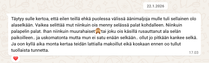 Mielen Soinnut kokemuksia